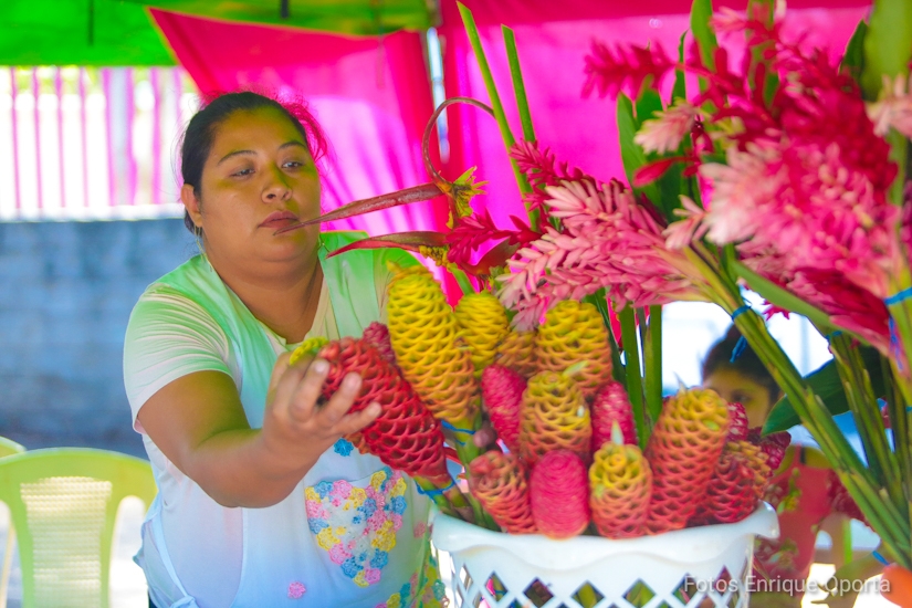 FLORES1
